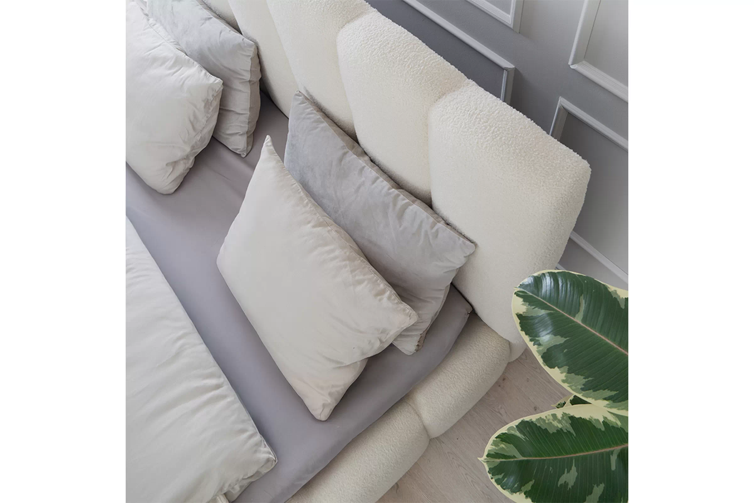 Client Image 1468